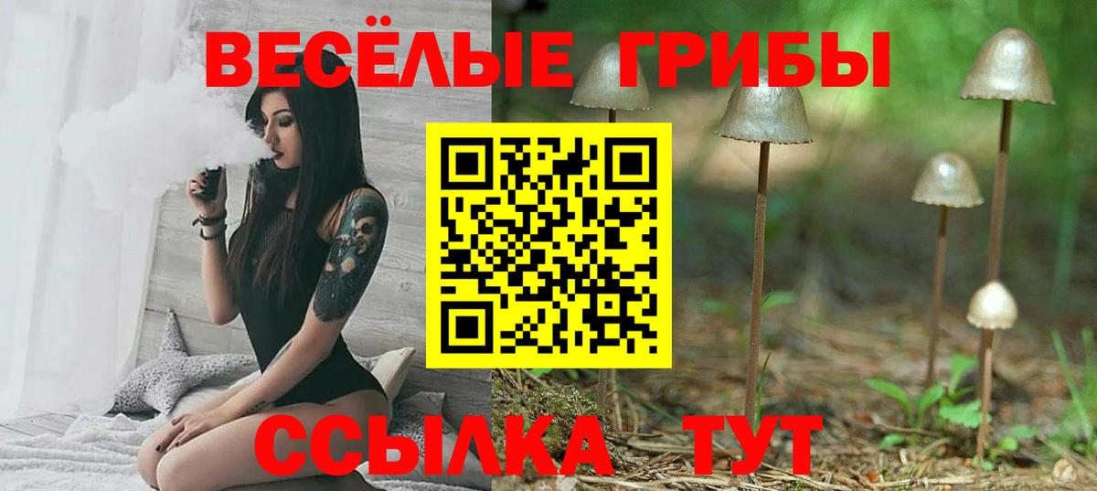 Псилоцибиновые грибы мицелий  где купить наркотик  Псилоцибиновые грибы Magic Shrooms  Бузулук  Вход с VPN 