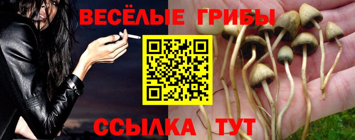 Галлюциногенные грибы мухоморы Бузулук