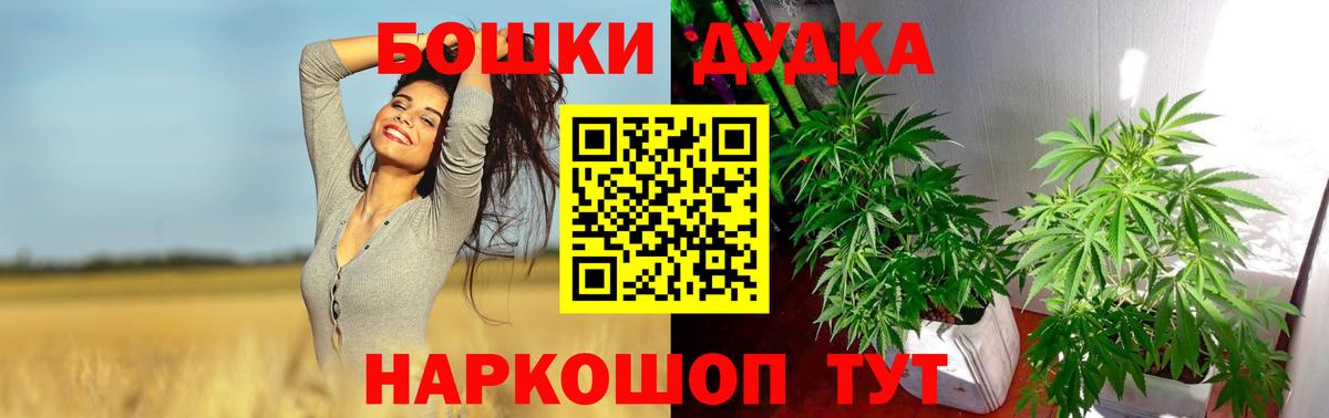 Конопля планчик Бузулук